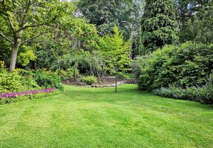 Optimiser l'expérience du jardin à Saint-Aubin-du-Desert